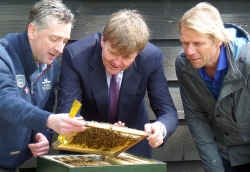 images/willem 2.jpg